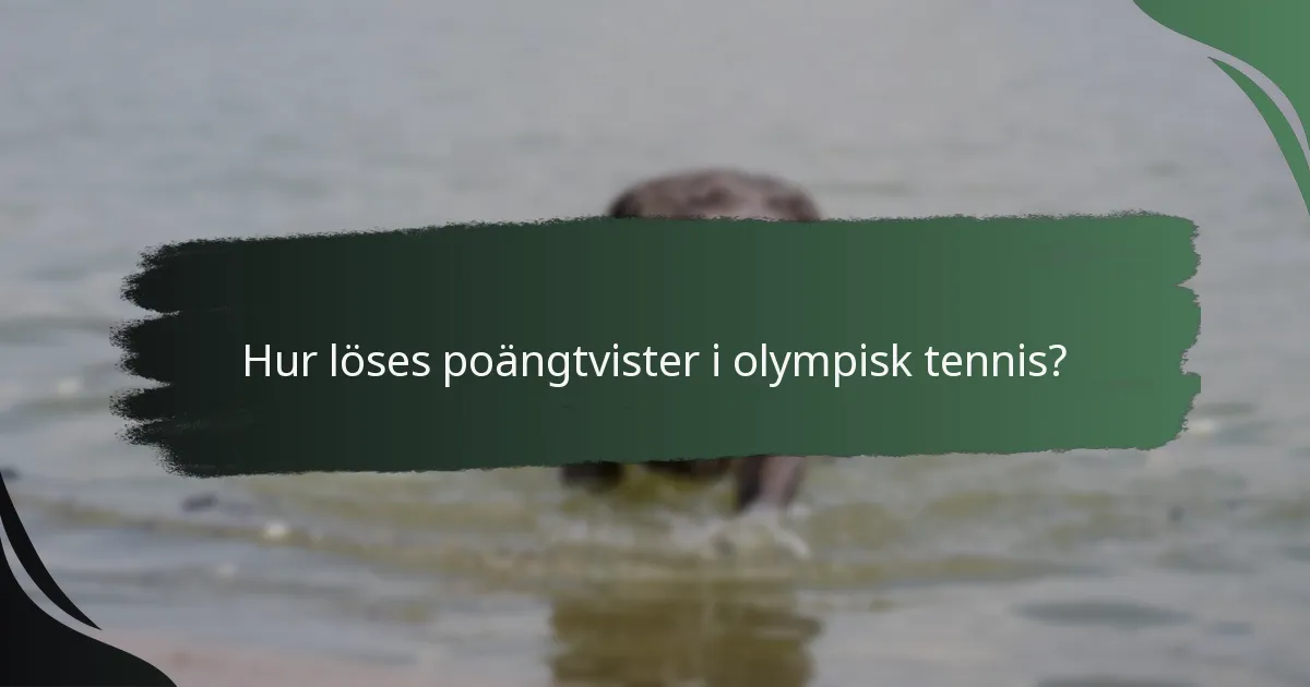 Hur löses poängtvister i olympisk tennis?