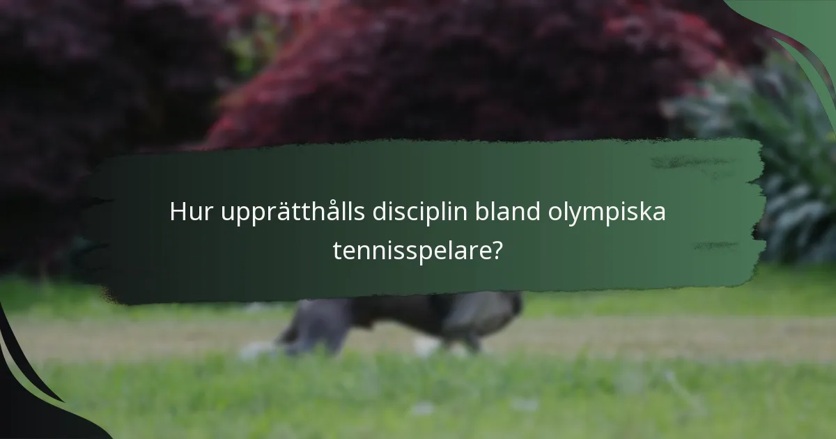 Hur upprätthålls disciplin bland olympiska tennisspelare?