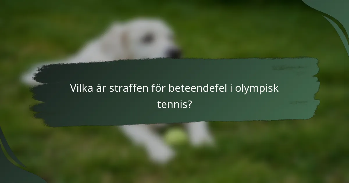 Vilka är straffen för beteendefel i olympisk tennis?