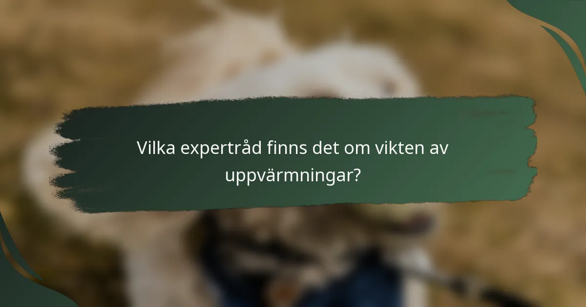 Vilka expertråd finns det om vikten av uppvärmningar?